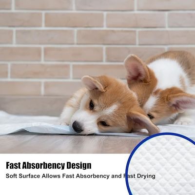 Acessórios para filhotes impermeáveis descartáveis Secagem rápida Absorção de urina 56*56cm