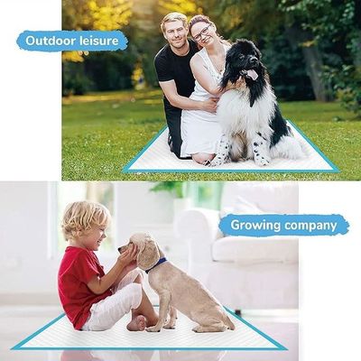 Acessórios para filhotes impermeáveis descartáveis Secagem rápida Absorção de urina 56*56cm