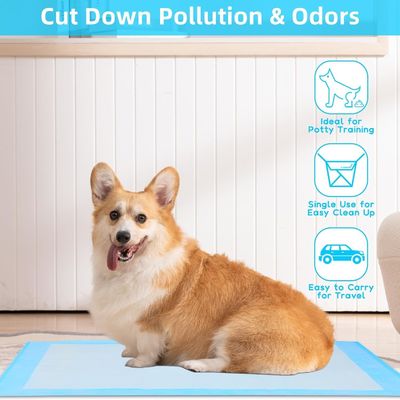 Cães de treino descartável de secagem rápida, urinar sob almofada com material sustentável