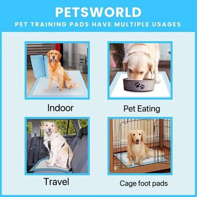 Cães de treino descartável de secagem rápida, urinar sob almofada com material sustentável