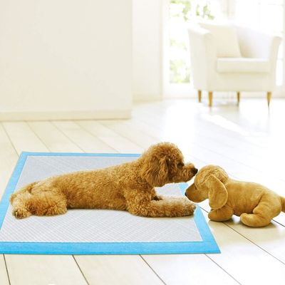 Treinamento de urina de cachorrinho Super absorvente almofadas descartáveis de treinamento de cães para treinamento de urina