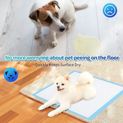 Pad de urina de treinamento de cães para absorvente de urina de animais de estimação sustentável sem vazamento