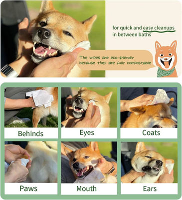 Toalhas de limpeza PET brancas personalizadas Natureza orgânica Ecológica Para limpeza Banho