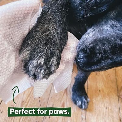 150*200mm Toalhas suaves e ecológicas para cães 100 pcs Spunlace não tecido Elimina odores