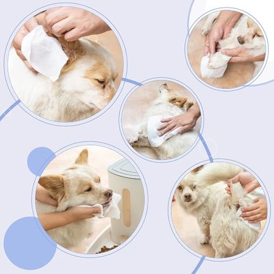 Limpezas de ouvido descartáveis com desodorante e função de remoção de manchas de lágrima