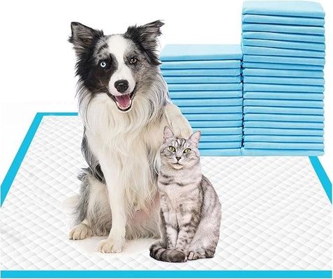 Acessórios descartáveis de treino para animais de estimação de 56x56cm Acessórios grandes de mijo para cães e animais