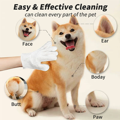 Logotipo personalizado aceitável 6PCS Pacote Luvas de limpeza de animais de estimação para PET Grooming toalhas molhadas