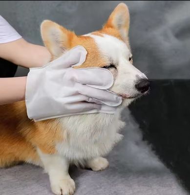 Pacotes azuis não tecidos Limpeza de uso único Luvas de limpeza para animais de estimação Brinquedos úmidos para cães gatos