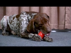 Cães de estimação gritando brinquedos de mastigação resistentes e duráveis para mastigadores agressivos estilo na moda