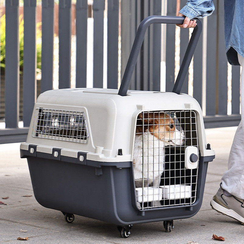Saco portátil de animais de estimação de grande capacidade Caixa de gatos para produtos de viagem