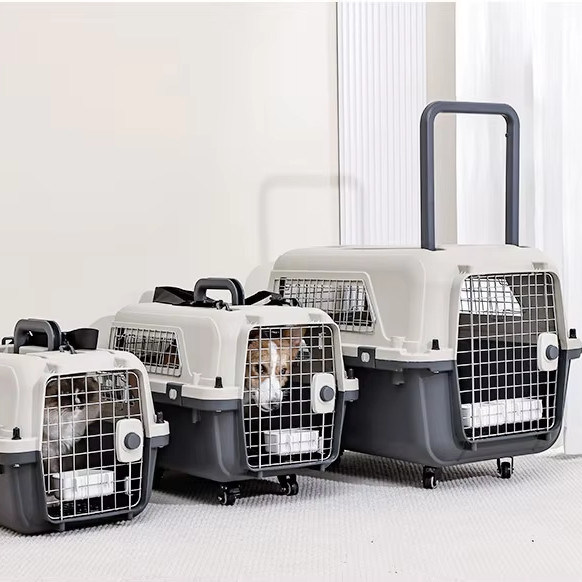 Caixa de transporte aéreo de animais de estimação para cães e gatos pequenos Transportador de viagem de superfície dura sustentável