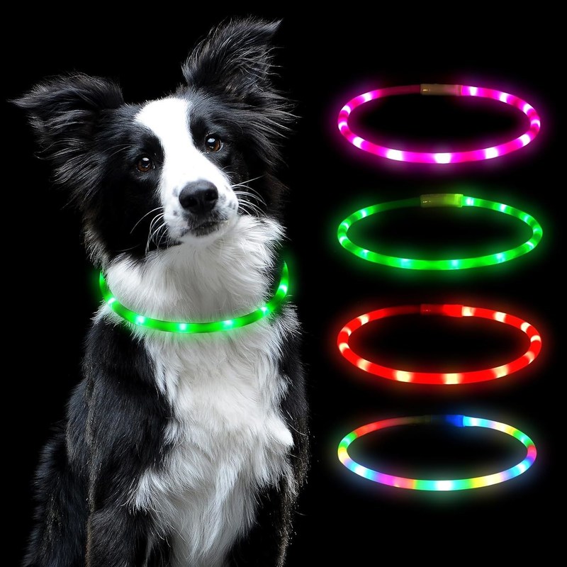Banda de colarinho USB recarregável iluminada para cães com colarinho de animais de estimação de cor variável