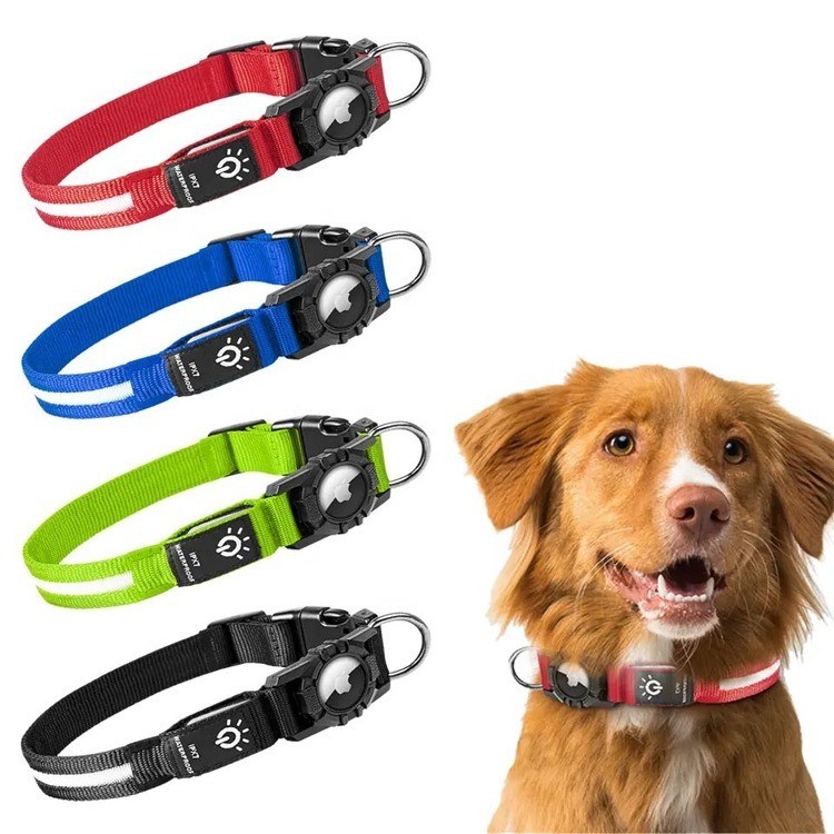 Collar de cão com LED para cães ativos