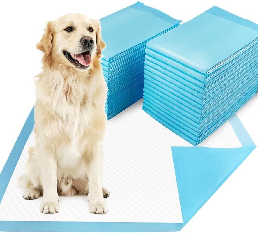 Treinamento de urina de cachorrinho Super absorvente almofadas descartáveis de treinamento de cães para treinamento de urina